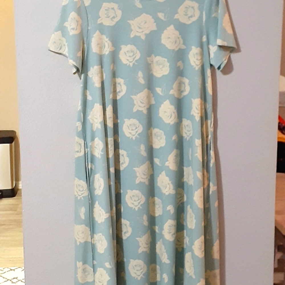 LulaRoe mint and cream floral dress